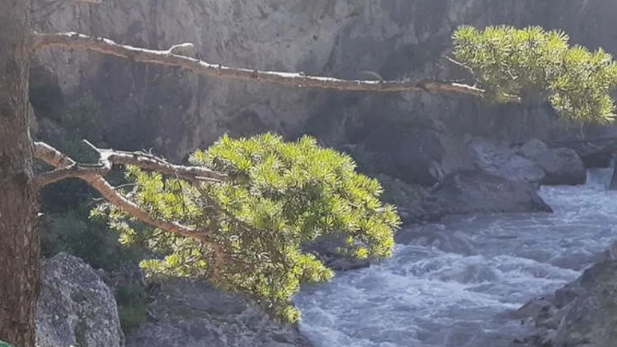 Новости Ингушетии: В Минприроды Ингушетии озвучат планы работы на 2024 год