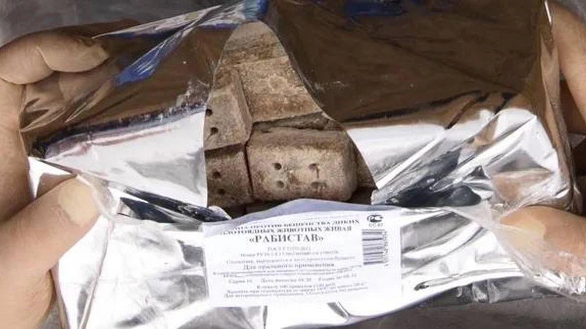 Новости Ингушетии: В Ингушетии вакцина-приманка помогает предотвратить бешенство животных