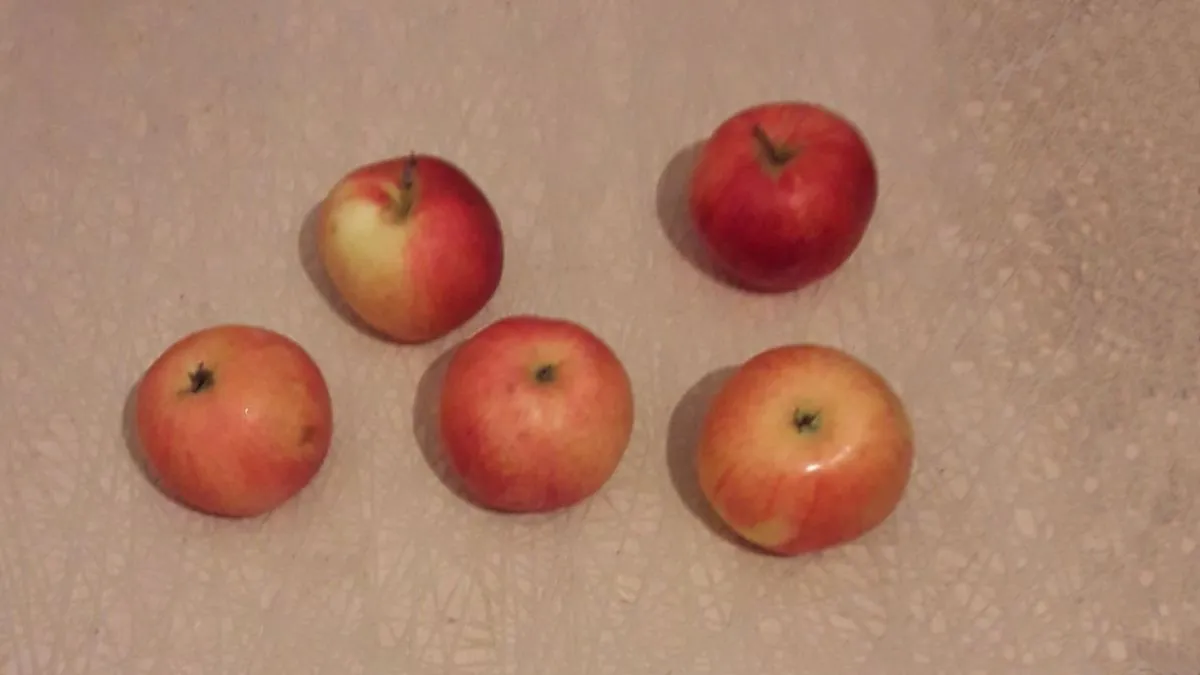 Новости Ингушетии: Жители Ингушетии назвали  главный международный фрукт