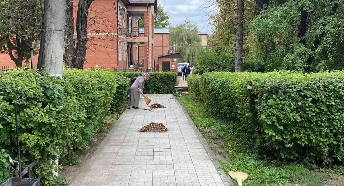 Новости Ингушетии: МагӀалбика кхален администраце болхлоша къахьегама шоатта  дӀадихьар