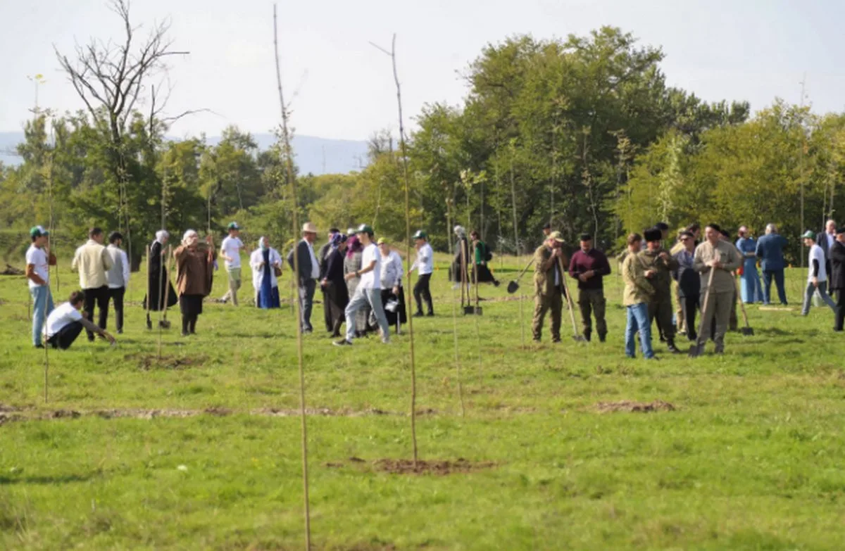Новости Ингушетии: 140 гектаров леса восстановила Ингушетия в этом году