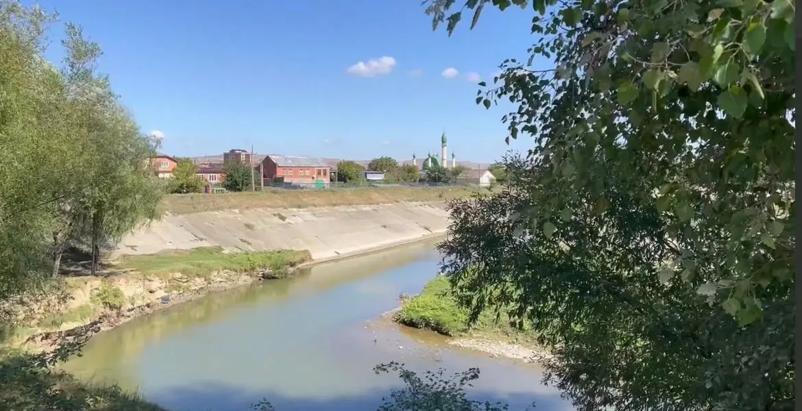 Новости Ингушетии: В Сунже Ингушетии проведут посадку 500 медоносных деревьев