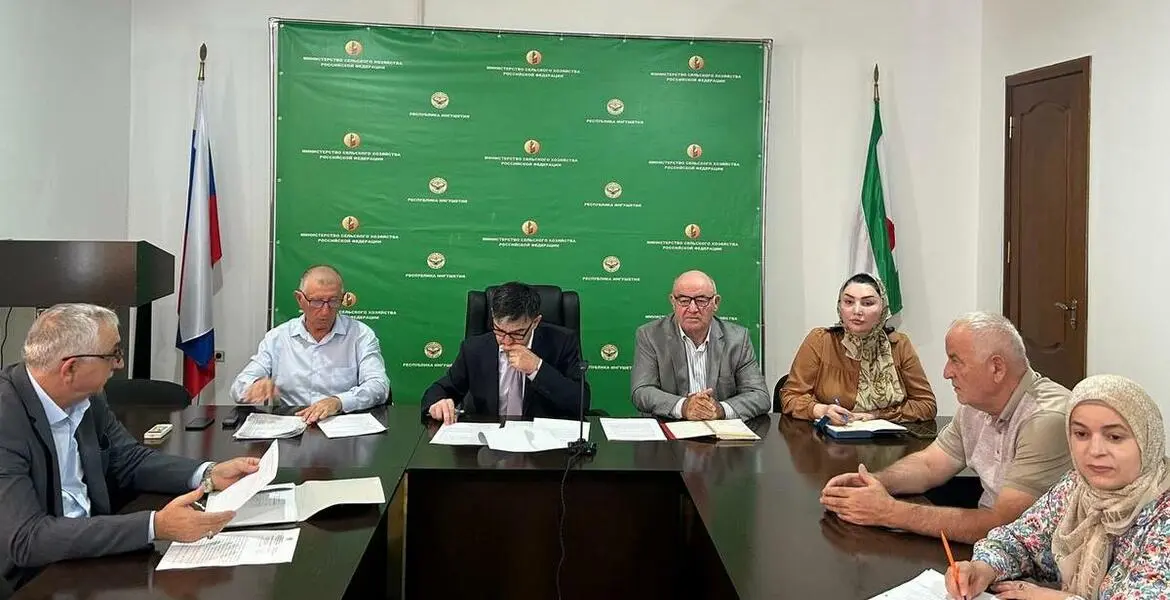 Новости Ингушетии: ГIалгIайче ка бола ялат чуийца даьннад