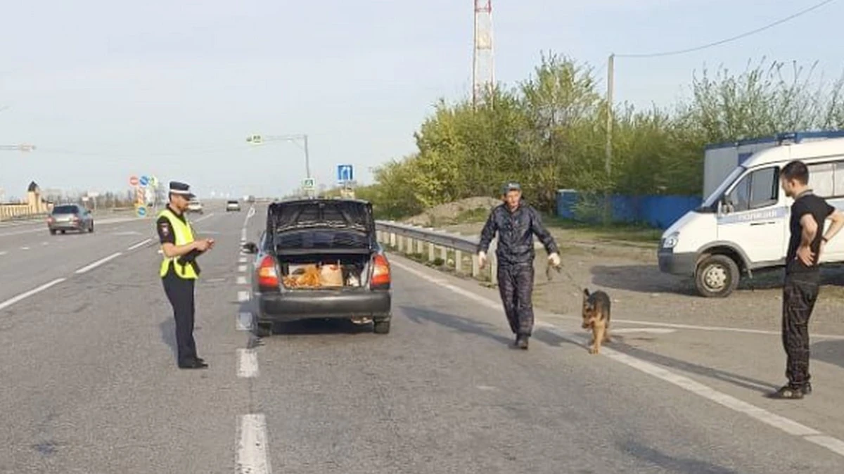 Новости Ингушетии: В Ингушетии  усиливают борьбу с незаконным оборотом оружия