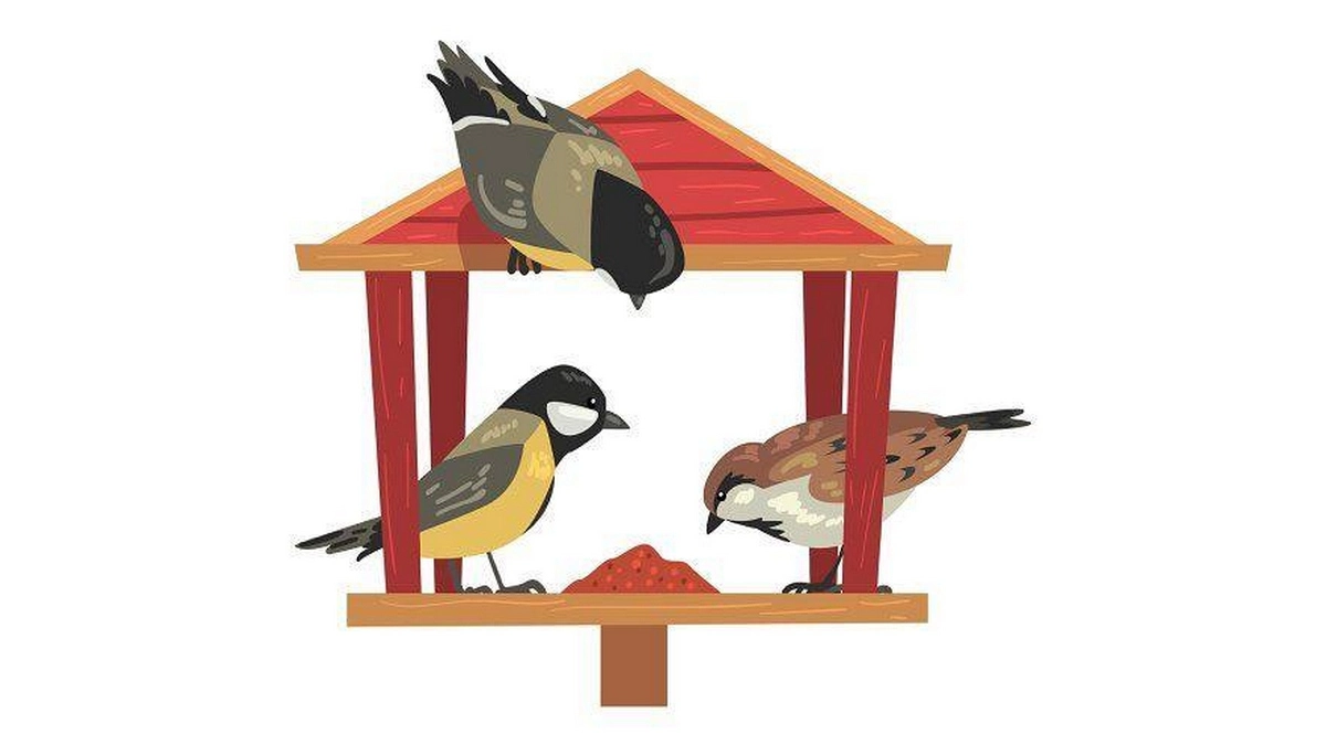 Новости Ингушетии: На территории Ингушетии гнездится свыше 150 видов птиц