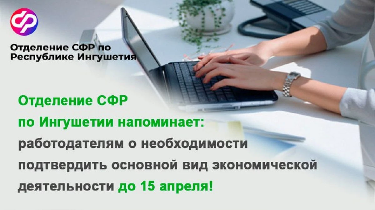 Новости Ингушетии: Отделение СФР по Республике Ингушетия напоминает работодателям о необходимости подтвердить основной вид экономической деятельности