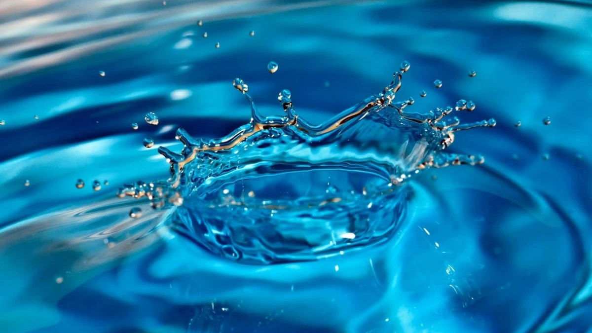 Новости Ингушетии: Молаш дола хий лорадара тӀахьех бахархой