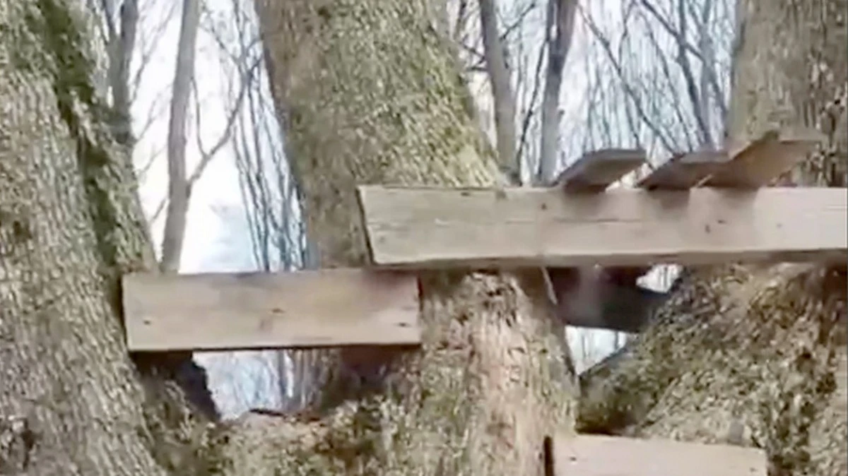 Новости Ингушетии: Хьунашка зуламхоша яь кӀийленаш гучаяьхар