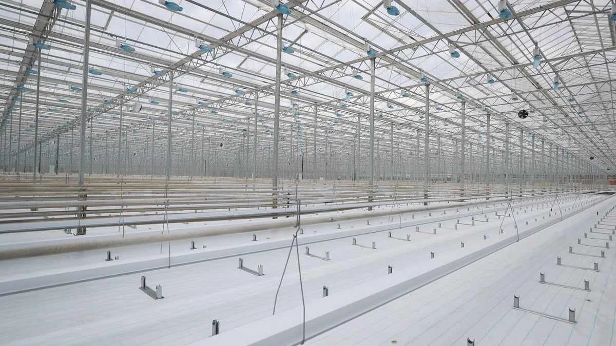 Новости Ингушетии: В Ингушетии на 7,7% возросло количество малых и средних предприятий