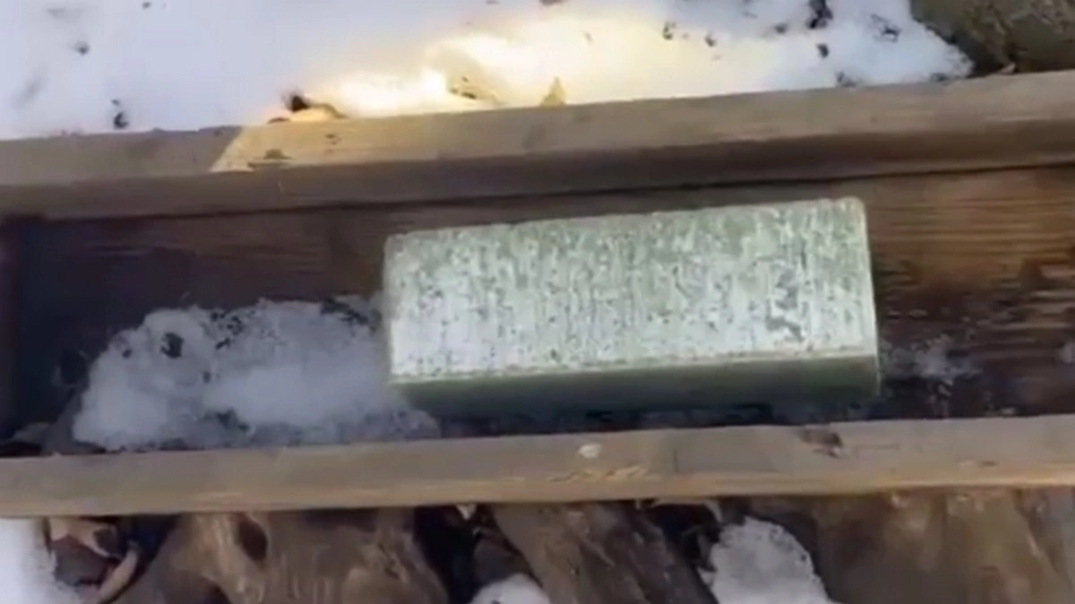 Новости Ингушетии: В лесах Ингушетии обеспечивают минеральную подкормку диких животных