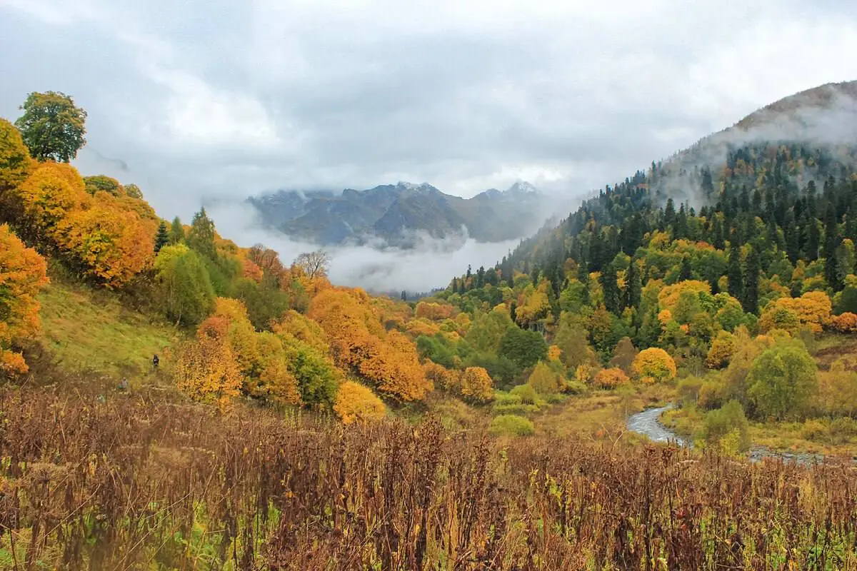 Новости Ингушетии: В Ингушетии завершился пожароопасный сезон 2023