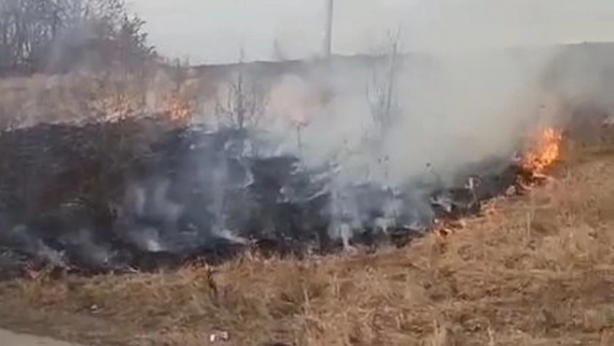 Новости Ингушетии: В двух населенных пунктах Ингушетии ликвидировано возгорание сухостоя