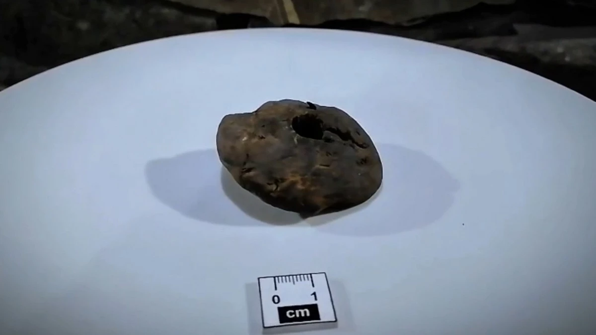 Новости Ингушетии: Реставраторы обнаружили в горной Ингушетии деревянное пряслице