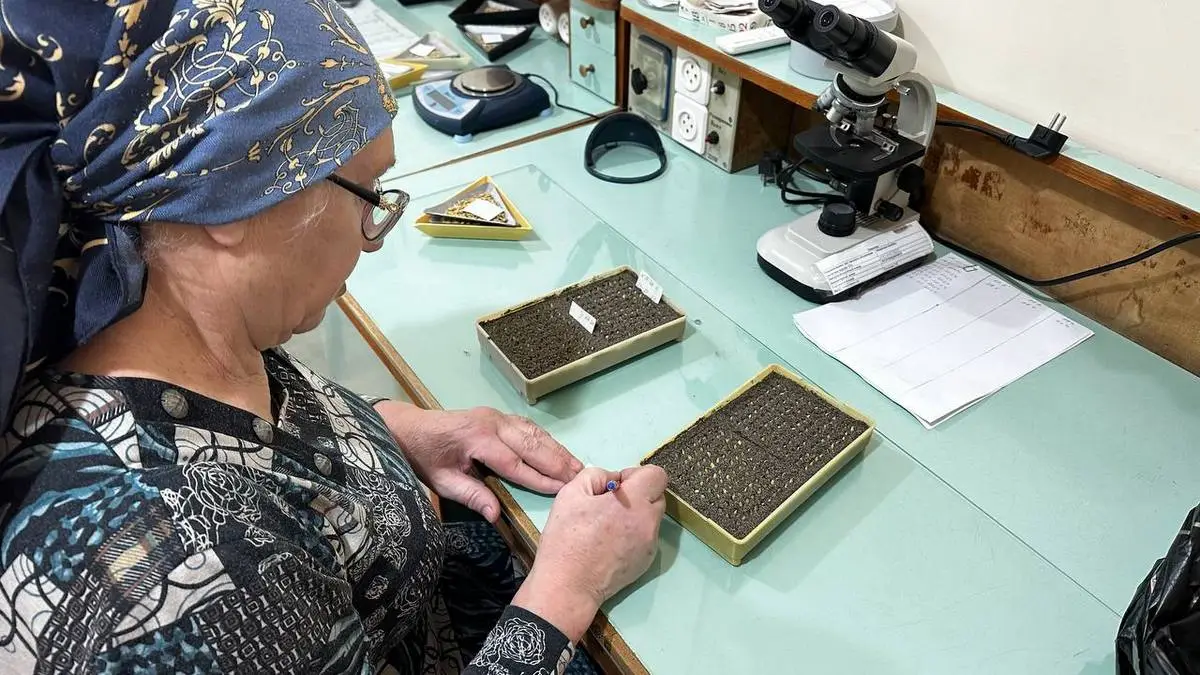 Новости Ингушетии: Аграрии Ингушетии готовятся к яровым работам