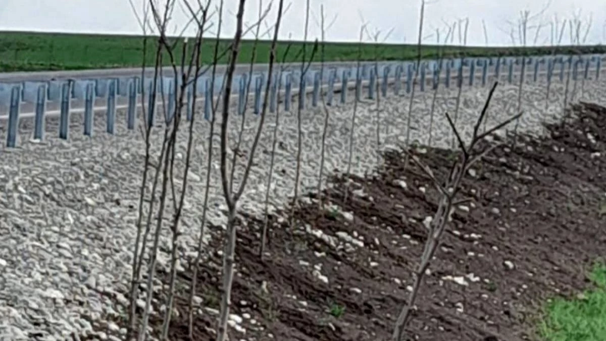 Новости Ингушетии: Акция «Сохраним лес» в Ингушетии активно претворяется в жизнь