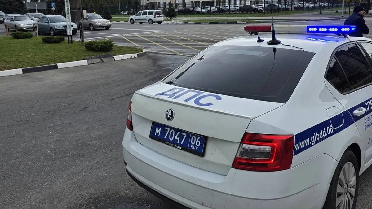 Новости Ингушетии: В Ингушетии проводится комплексная оперативно-профилактическая операция «Анаконда»