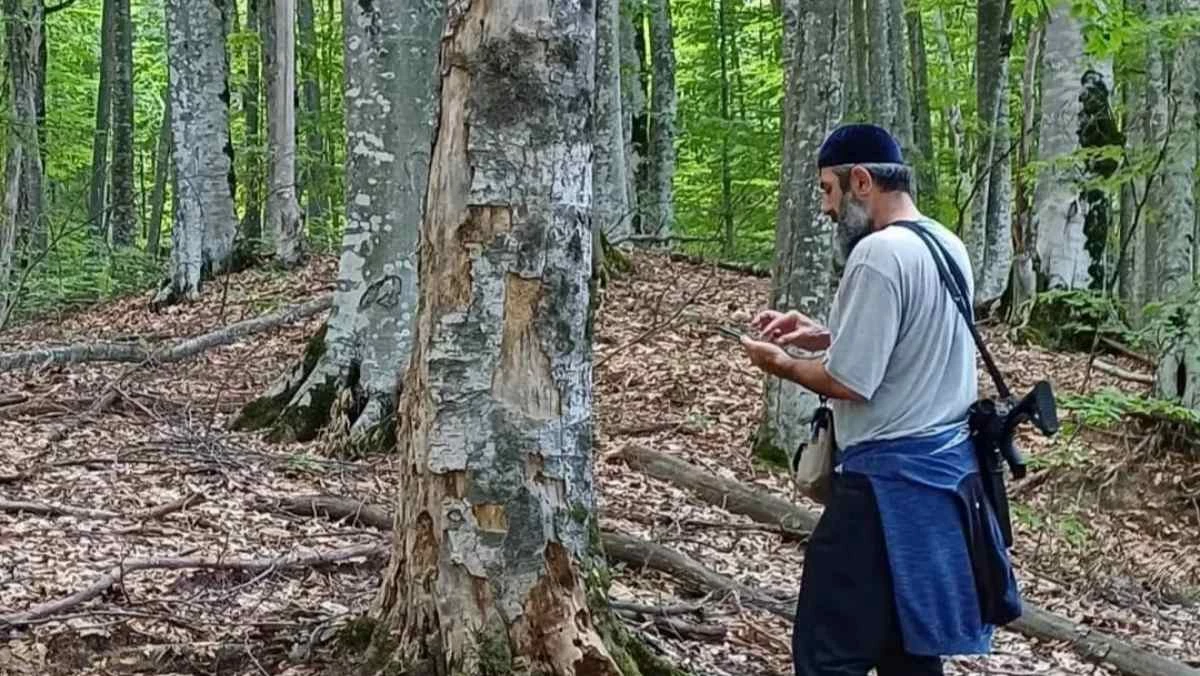 Новости Ингушетии: В Ингушетии здоровье леса проконтролируют и проверят специалисты