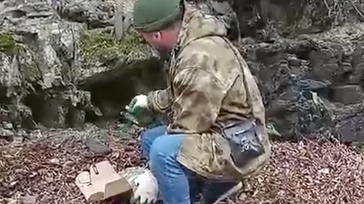 Новости Ингушетии: В лесах Ингушетии ведется вакцинация диких животных против бешенства