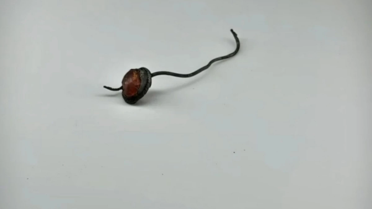 Новости Ингушетии: В горной Ингушетии нашли древний женский перстень