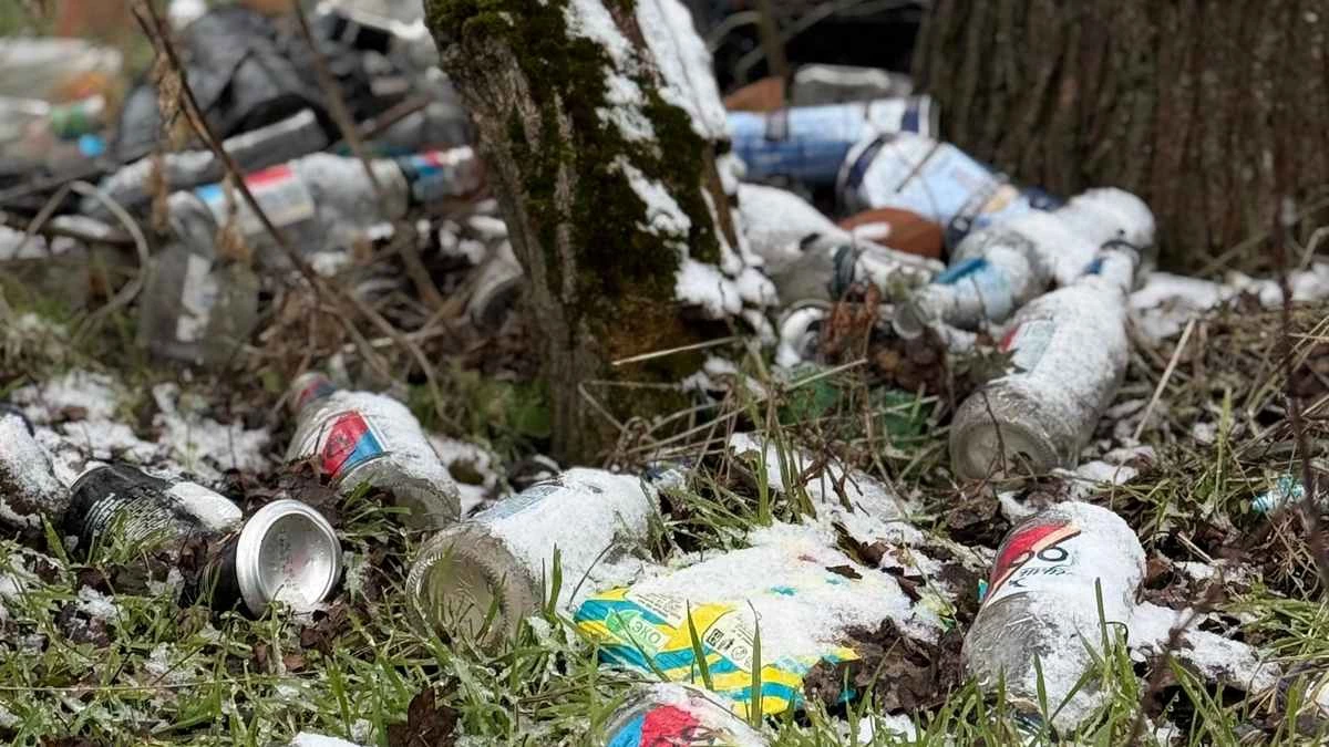 Новости Ингушетии: В Ингушетии решают задачу минимизации объемов бесхозного мусора