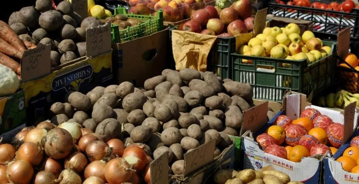 Новости Ингушетии: В Сунже Ингушетии готовится выставка-ярмарка «Дошо Гуйре»