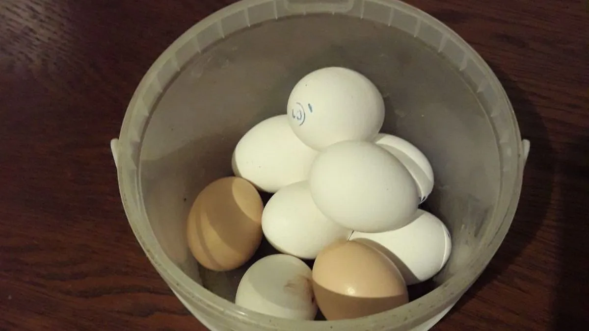 Новости Ингушетии: В подворьях Ингушетии  есть большие резервы наполнения продуктовой корзины