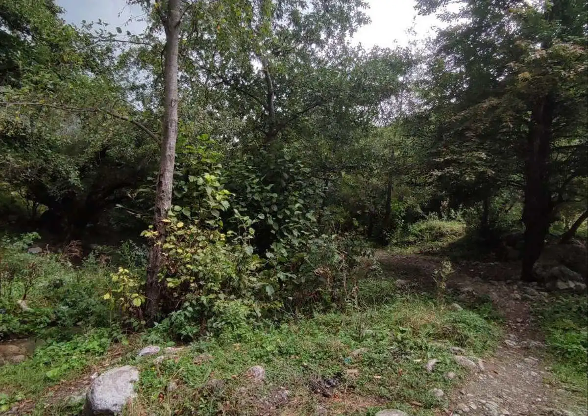 Новости Ингушетии: Животный мир Ингушетии довольно разнообразен