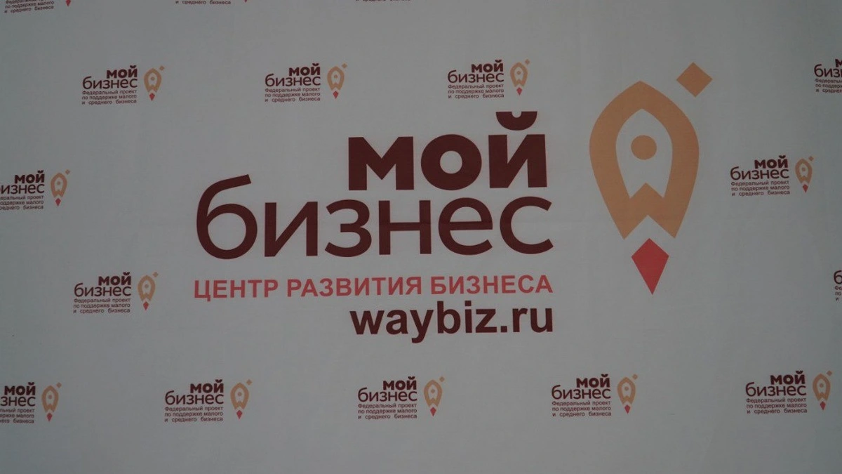 Новости Ингушетии: В Ингушетии состоится тренинг «Самозанятость: инструкция по применению»