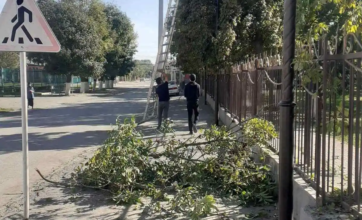 Новости Ингушетии: В селе Троицкое Ингушетии облагородили парк