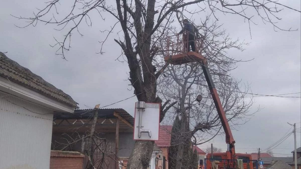 Новости Ингушетии: В Карабулаке занимаются санитарной обрезкой зелëных насаждений