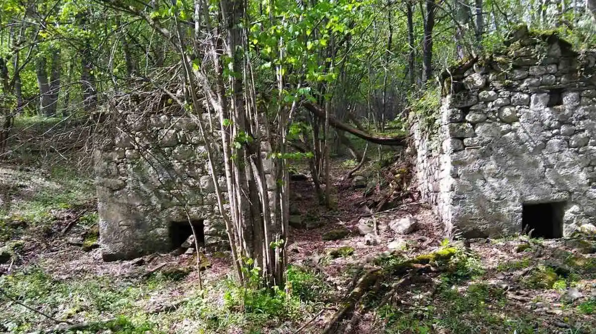 Новости Ингушетии: Лоамашка кораеш йолча хӀамаша гӀадбуг тохкамхой