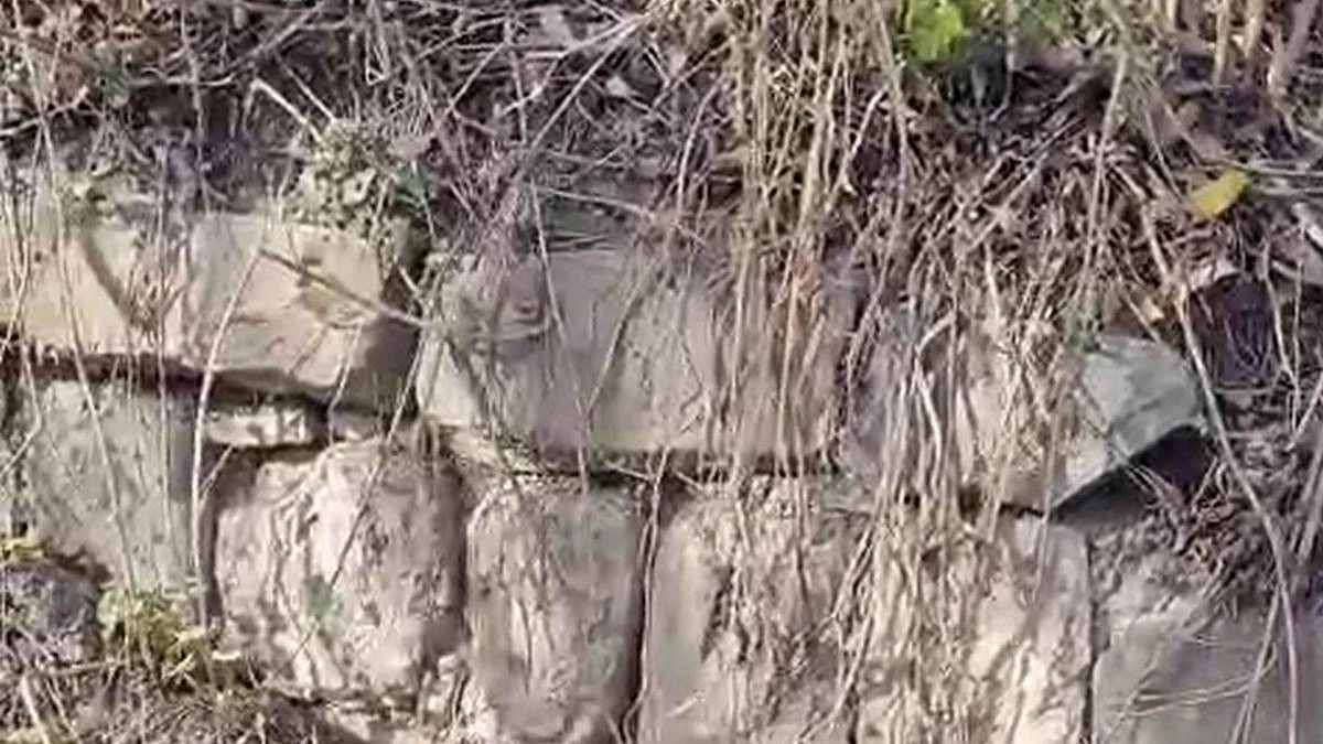 Новости Ингушетии: Лоаман моттигашка, цхьаькха хин хьайра гучаяьлар