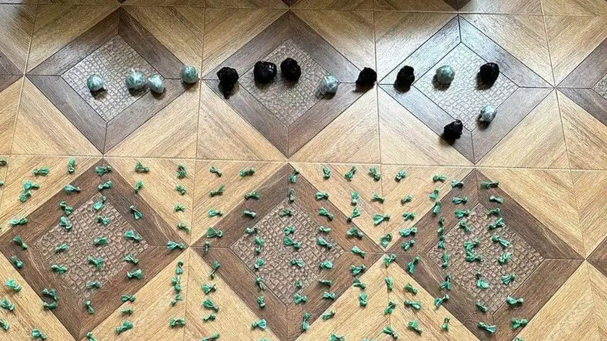 Новости Ингушетии: ГIалгIайчен полице 650 совгIа дIахьоарчаяь метадон хьаяьккхар