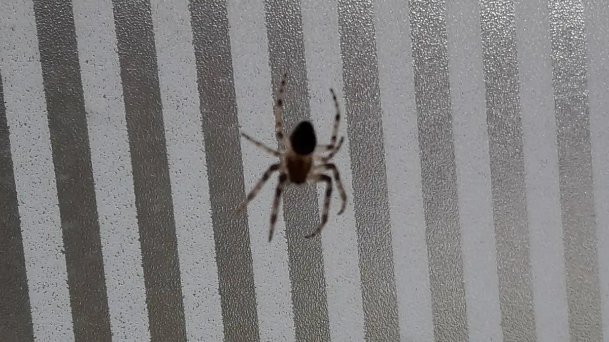 Новости Ингушетии: 95% жителей Ингушетии назвали наркоманию самой опасной угрозой