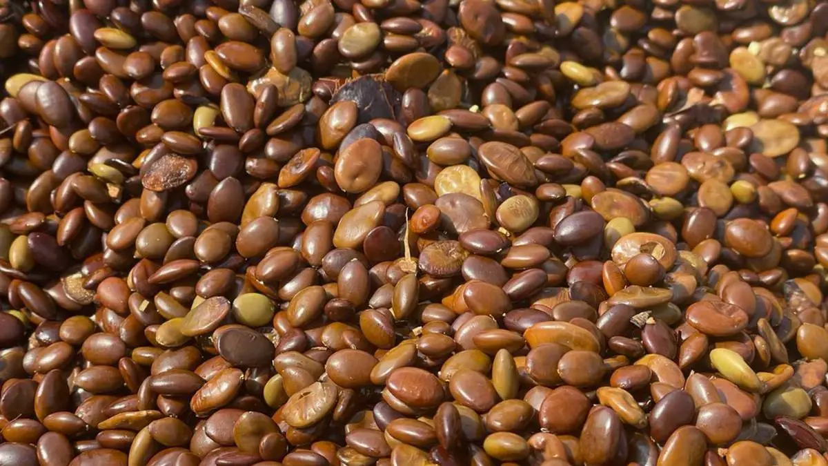 Новости Ингушетии: На Сунженском хребте в Ингушетии вырастят  молодой лес