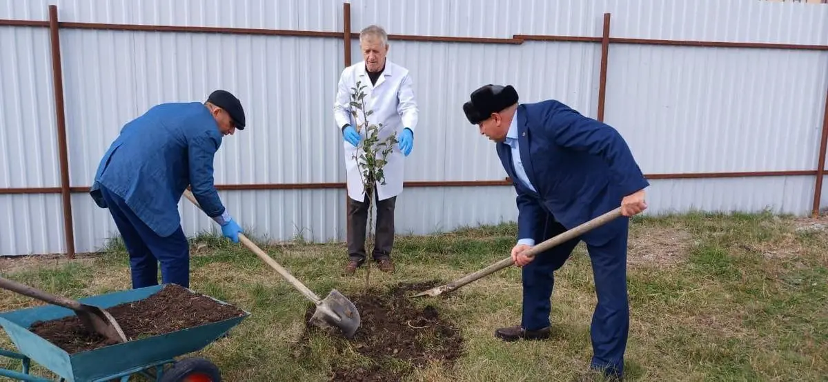 Новости Ингушетии: Сотрудники Ветуправления Ингушетии провели субботник