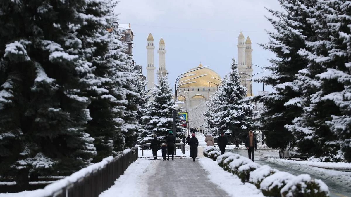 Новости Ингушетии: В столице Ингушетии проводят уборку снега