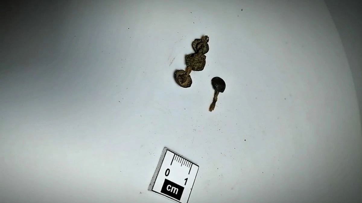 Новости Ингушетии: В Гирети Ингушетии найден ряд серебряных накладок