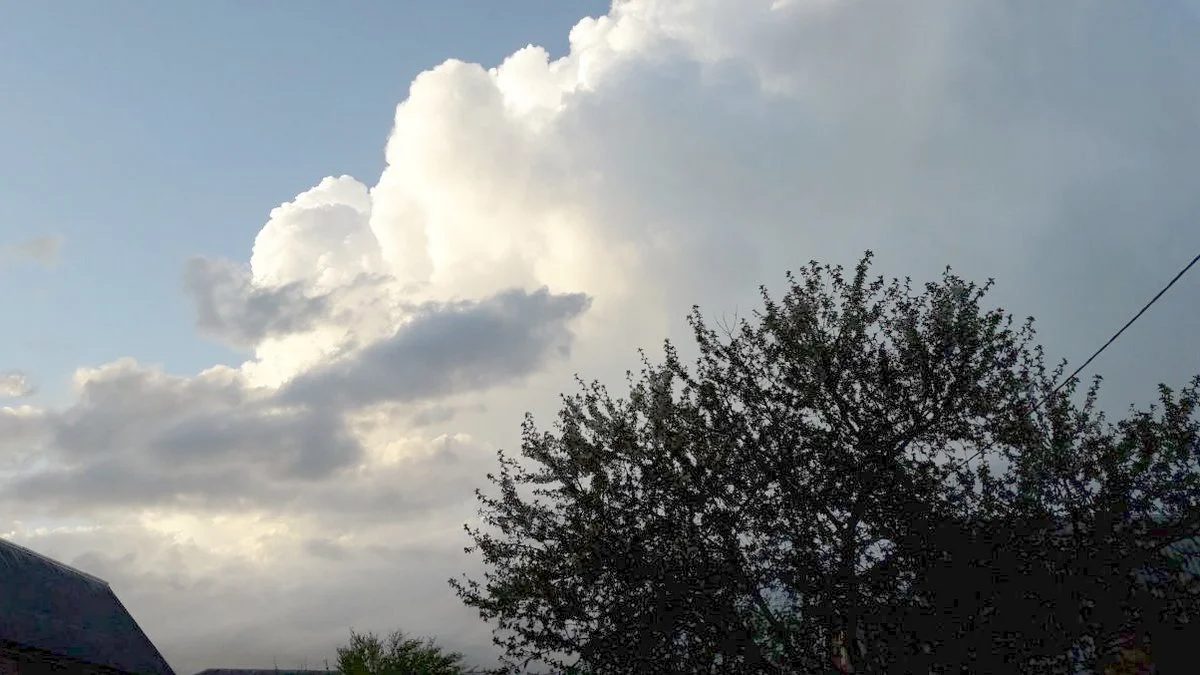 Новости Ингушетии: Тахан вай мехка ди къувкъаш, чӀоагӀа мух хьекхаш, ша тохаш догӀа дар кхерам болаш да