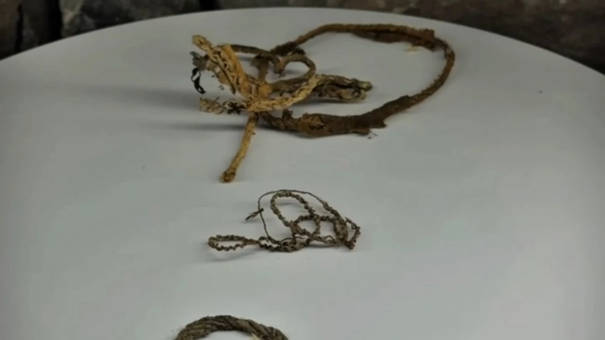 Новости Ингушетии: В Гирети археологи обнаружили веревки повседневного использования