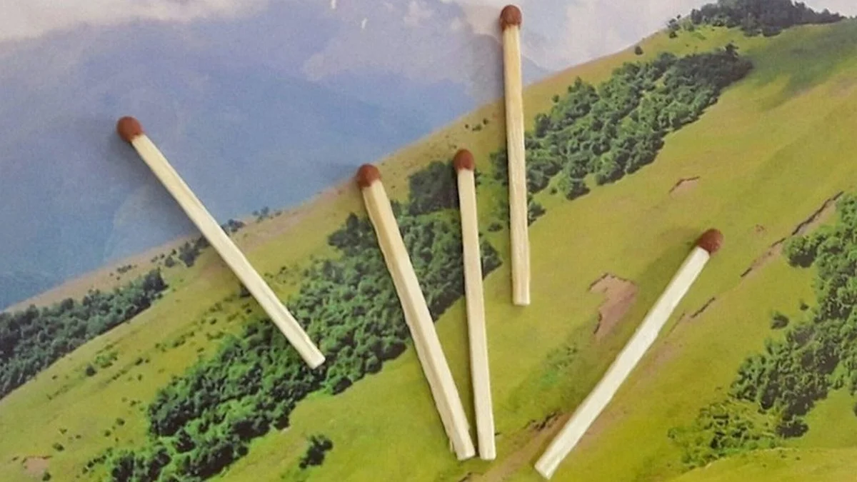 Новости Ингушетии: В Ингушетии для защиты лесов от огня закупят новую технику