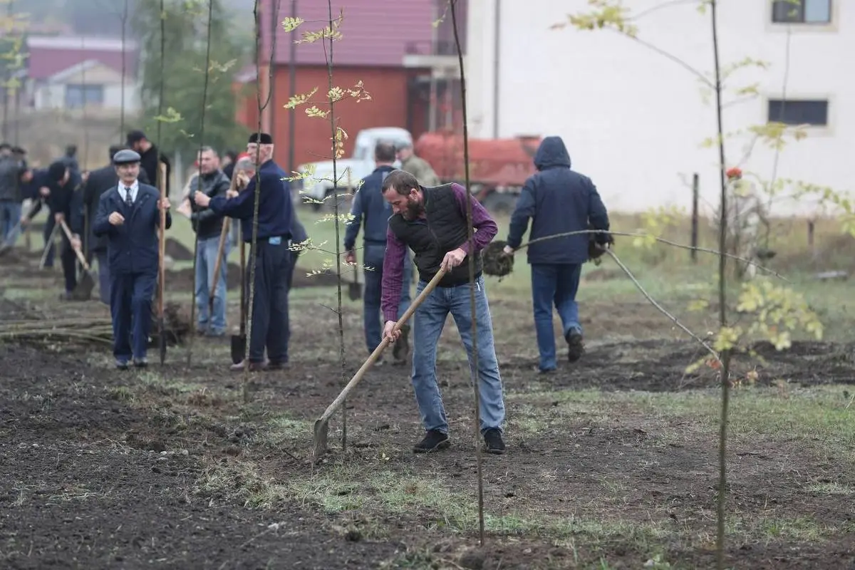 Новости Ингушетии: В честь участников СВО в Ингушетии посадят 500 деревьев