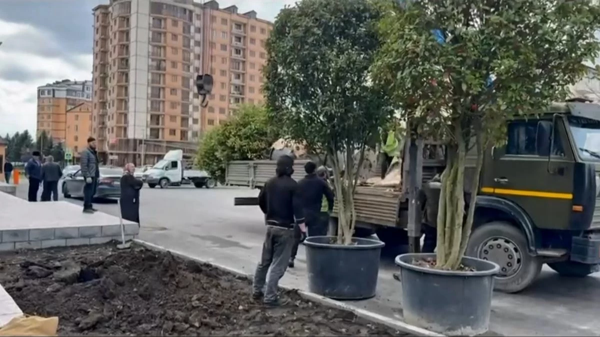 Новости Ингушетии: Долговечная фотиния украсила площадь в Назрани Ингушетии