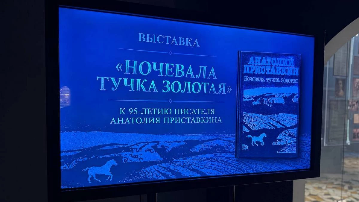 Новости Ингушетии: В Ингушетии работает видеовыставка «Ночевала тучка золотая»