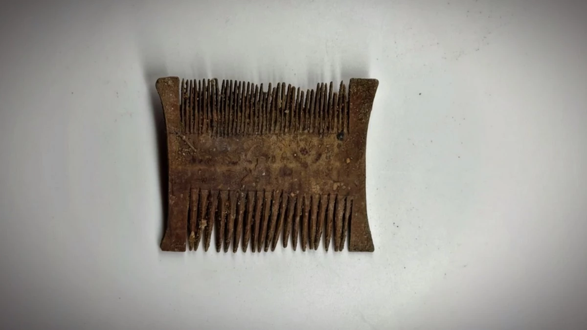 Новости Ингушетии: Археологи изучают  деревянный гребень, найденный в горах Ингушетии