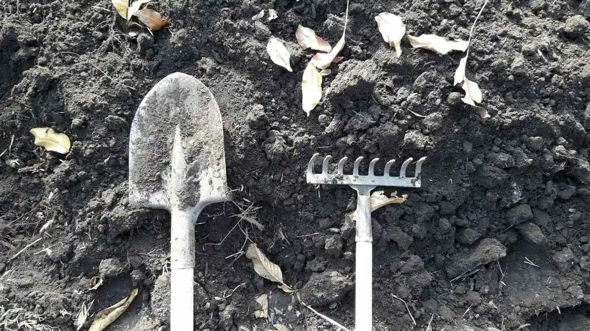 Новости Ингушетии: БӀаьсти ги, кхыйола хӀамаш дӀае ловш ба, 60% вай бахархой