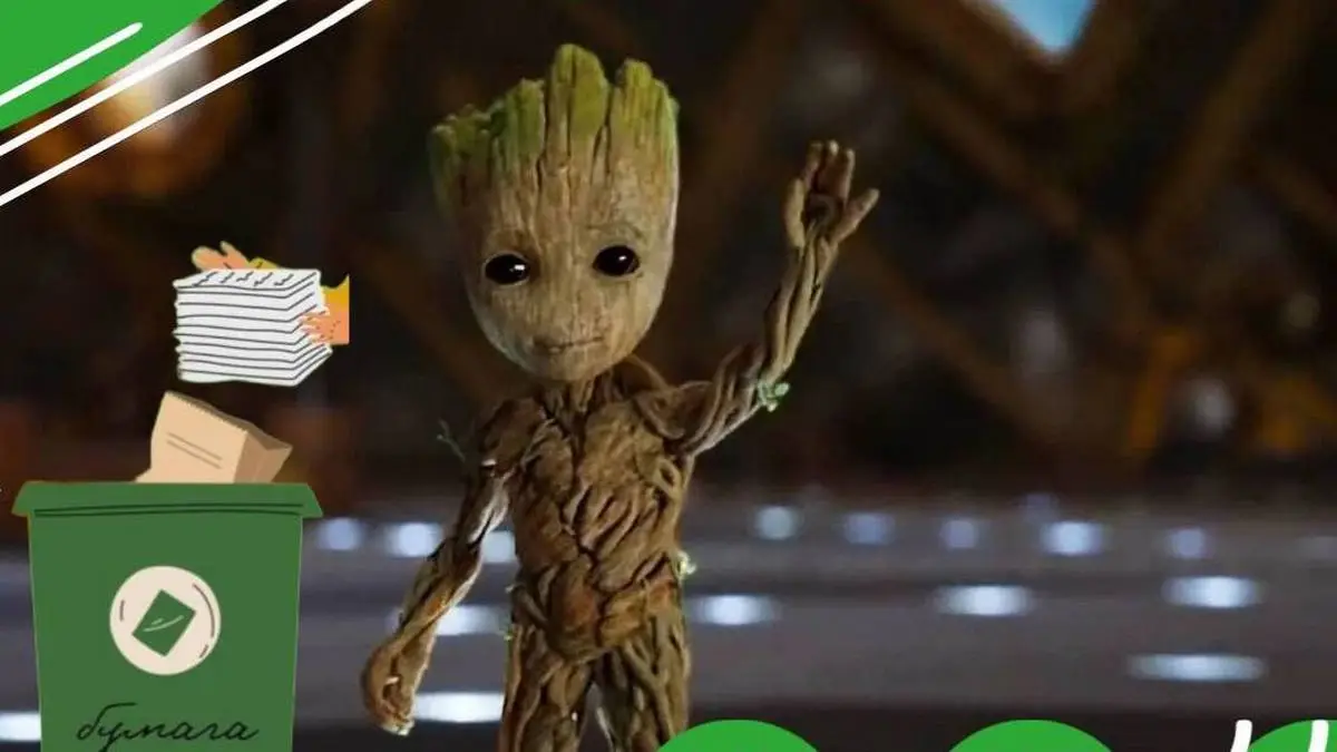 Новости Ингушетии: Школьники Ингушетии участвуют в конкурсе по сбору макулатуры