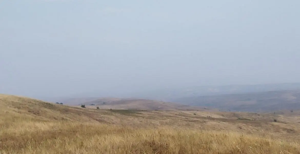 Новости Ингушетии: Сотрудники Роспотребнадзора Ингушетии выясняли причину задымления воздуха