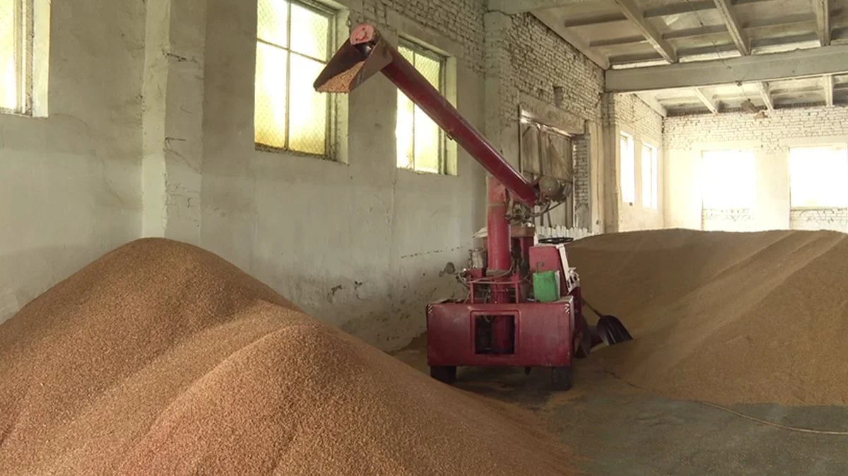 Новости Ингушетии: Аграрии Ингушетии собрали около 100 тысяч тонн зерновых