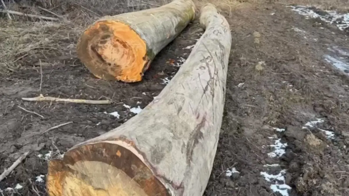 Новости Ингушетии: ДаьттагӀа яхача юрта, бокъо йоацаш, хьу тедаш йола моттиг гучаяьккхар